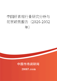 中国肝素帽行业研究分析与前景趋势报告（2026-2032年）