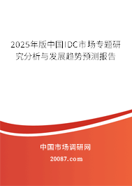 2025年版中国IDC市场专题研究分析与发展趋势预测报告