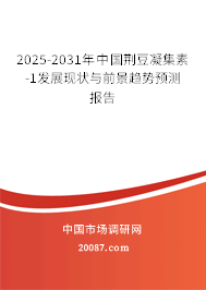 2025-2031年中国荆豆凝集素-1发展现状与前景趋势预测报告 2025-2031年中国荆豆凝集素-1发展现状与前景趋势预测报告