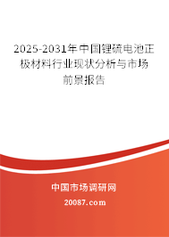 2025-2031年中国锂硫电池正极材料行业现状分析与市场前景报告