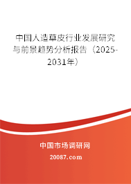 中国人造草皮行业发展研究与前景趋势分析报告（2025-2031年）