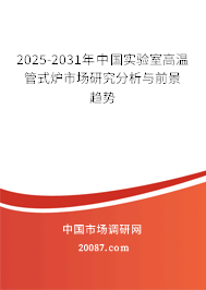 2025-2031年中国实验室高温管式炉市场研究分析与前景趋势