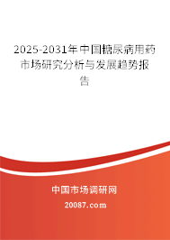 2025-2031年中国糖尿病用药市场研究分析与发展趋势报告