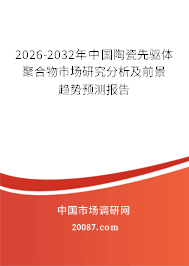 2026-2032年中国陶瓷先驱体聚合物市场研究分析及前景趋势预测报告