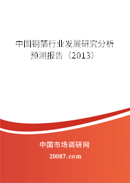 中国铜箔行业发展研究分析预测报告(2013) 中国铜箔行业发展研究分析预测报告(2013)