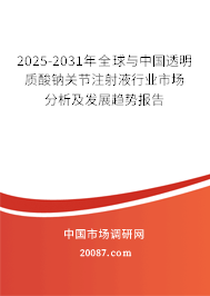 2025-2031年全球与中国透明质酸钠关节注射液行业市场分析及发展趋势报告 2025-2031年全球与中国透明质酸钠关节注射液行业市场分析及发展趋势报告