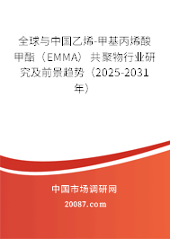 全球与中国乙烯-甲基丙烯酸甲酯（EMMA）共聚物行业研究及前景趋势（2025-2031年）