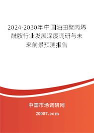 2024-2030年中国油田聚丙烯酰胺行业发展深度调研与未来前景预测报告