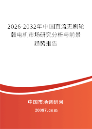 2026-2032年中国直流无刷轮毂电机市场研究分析与前景趋势报告 2026-2032年中国直流无刷轮毂电机市场研究分析与前景趋势报告