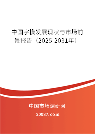 中国字模发展现状与市场前景报告（2025-2031年）