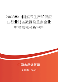 2008年中国燃气生产和供应业行业财务数据及重点企业财务指标分析报告
