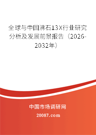 全球与中国沸石13X行业研究分析及发展前景报告（2026-2032年）
