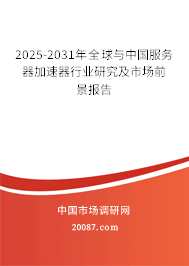 2025-2031年全球与中国服务器加速器行业研究及市场前景报告 2025-2031年全球与中国服务器加速器行业研究及市场前景报告