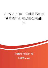 2025-2031年中国建筑弱点综合布线产业深度研究分析报告