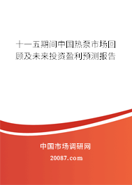 十一五期间中国热泵市场回顾及未来投资盈利预测报告