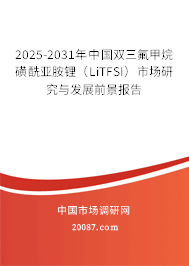 2025-2031年中国双三氟甲烷磺酰亚胺锂（LiTFSI）市场研究与发展前景报告
