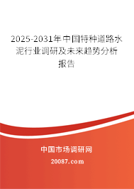 2025-2031年中国特种道路水泥行业调研及未来趋势分析报告