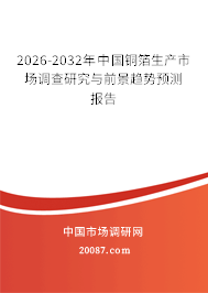 2026-2032年中国铜箔生产市场调查研究与前景趋势预测报告 2026-2032年中国铜箔生产市场调查研究与前景趋势预测报告