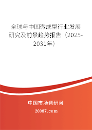 全球与中国微成型行业发展研究及前景趋势报告(2025-2031年) 全球与中国微成型行业发展研究及前景趋势报告(2025-2031年)