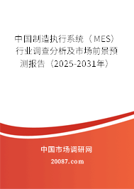 中国制造执行系统（MES）行业调查分析及市场前景预测报告（2025-2031年）