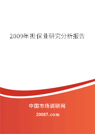 2009年担保业研究分析报告