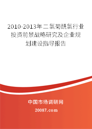2010-2013年二氯菊酰氯行业投资前景战略研究及企业规划建设指导报告