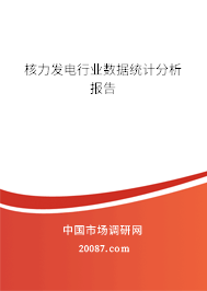 核力发电行业数据统计分析报告 核力发电行业数据统计分析报告