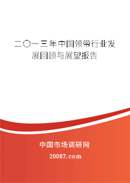 二〇一三年中国领带行业发展回顾与展望报告 二〇一三年中国领带行业发展回顾与展望报告