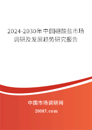 2024-2030年中国硼酸盐市场调研及发展趋势研究报告 2024-2030年中国硼酸盐市场调研及发展趋势研究报告