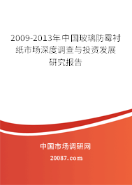 2009-2013年中国玻璃防霉衬纸市场深度调查与投资发展研究报告