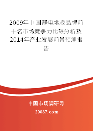 2009年中国静电地板品牌前十名市场竞争力比较分析及2014年产业发展前景预测报告