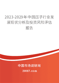 2023-2029年中国压子行业发展现状分析及投资风险评估报告 2023-2029年中国压子行业发展现状分析及投资风险评估报告