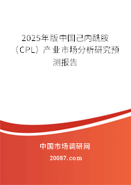 2025年版中国己内酰胺（CPL）产业市场分析研究预测报告