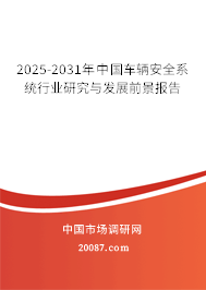 2025-2031年中国车辆安全系统行业研究与发展前景报告 2025-2031年中国车辆安全系统行业研究与发展前景报告