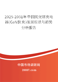 2025-2031年中国氮化镓充电器(GaN快充)发展现状与趋势分析报告