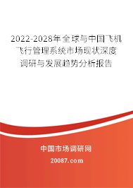 2022-2028年全球与中国飞机飞行管理系统市场现状深度调研与发展趋势分析报告