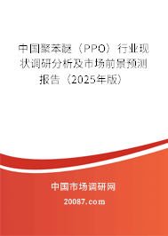 中国聚苯醚（PPO）行业现状调研分析及市场前景预测报告（2025年版）