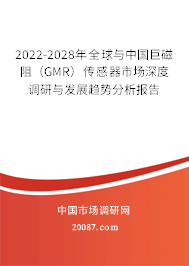 2022-2028年全球与中国巨磁阻（GMR）传感器市场深度调研与发展趋势分析报告