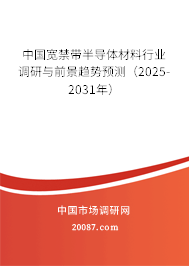 中国宽禁带半导体材料行业调研与前景趋势预测（2025-2031年）