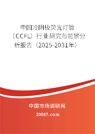 中国冷阴极荧光灯管（CCFL）行业研究与前景分析报告（2025-2031年）