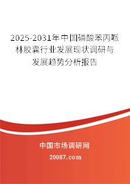 2025-2031年中国磷酸苯丙哌林胶囊行业发展现状调研与发展趋势分析报告
