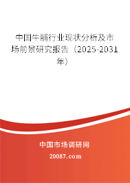 中国牛脯行业现状分析及市场前景研究报告（2025-2031年）