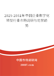 2025-2031年中国企业数字化转型行业市场调研与前景趋势
