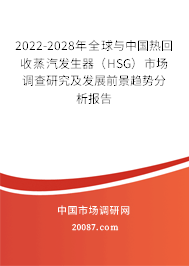 2022-2028年全球与中国热回收蒸汽发生器(HSG)市场调查研究及发展前景趋势分析报告 2022-2028年全球与中国热回收蒸汽发生器(HSG)市场调查研究及发展前景趋势分析报告