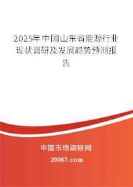 2025年中国山东省能源行业现状调研及发展趋势预测报告 2025年中国山东省能源行业现状调研及发展趋势预测报告