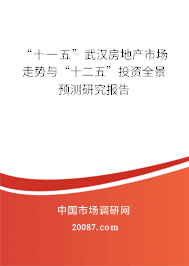 “十一五”武汉房地产市场走势与“十二五”投资全景预测研究报告