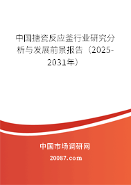 中国搪瓷反应釜行业研究分析与发展前景报告(2025-2031年) 中国搪瓷反应釜行业研究分析与发展前景报告(2025-2031年)