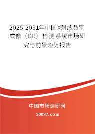 2025-2031年中国X射线数字成像（DR）检测系统市场研究与前景趋势报告