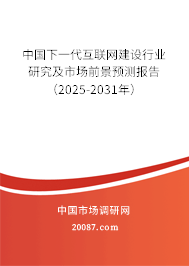 中国下一代互联网建设行业研究及市场前景预测报告（2025-2031年）