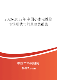 2026-2032年中国小家电维修市场现状与前景趋势报告